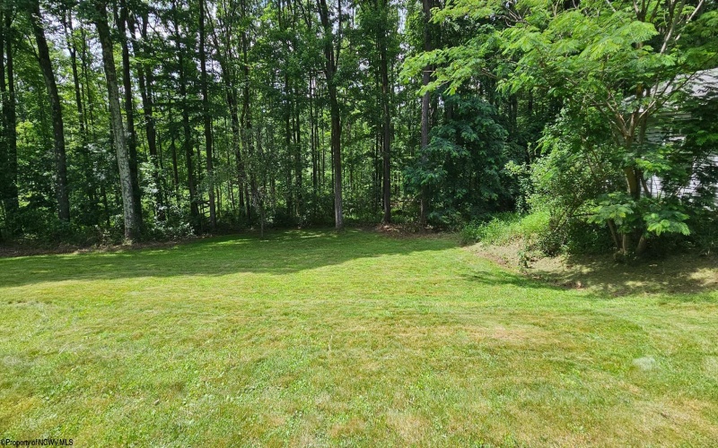 484 Pisgah Road, Bruceton Mills, West Virginia 26525, 3 Bedrooms Bedrooms, 7 Rooms Rooms,2 BathroomsBathrooms,Single Family Detached,For Sale,Pisgah,10160413