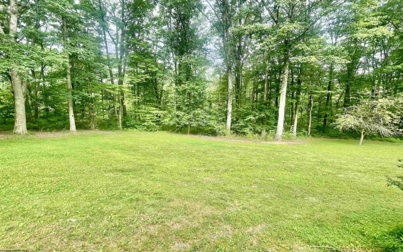 484 Pisgah Road, Bruceton Mills, West Virginia 26525, 3 Bedrooms Bedrooms, 7 Rooms Rooms,2 BathroomsBathrooms,Single Family Detached,For Sale,Pisgah,10160413