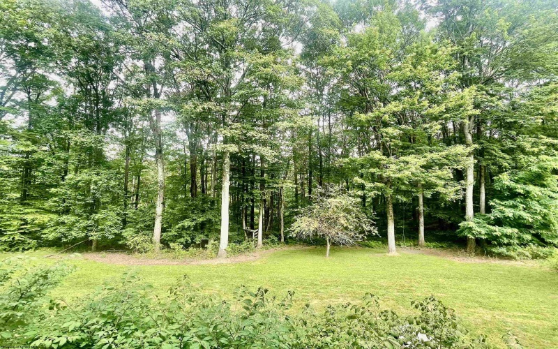 484 Pisgah Road, Bruceton Mills, West Virginia 26525, 3 Bedrooms Bedrooms, 7 Rooms Rooms,2 BathroomsBathrooms,Single Family Detached,For Sale,Pisgah,10160413