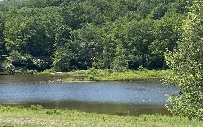 32 waterfront Drive, Davis, West Virginia 26260, ,Lots/land,For Sale,waterfront,10160425