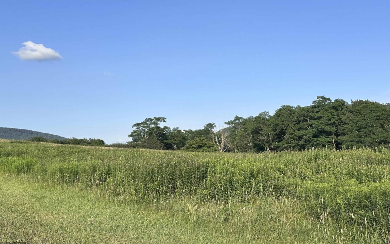 Lot 1003 Sunset Mountain Village, Slaty Fork, West Virginia 26291, ,Lots/land,For Sale,Sunset Mountain,10160431