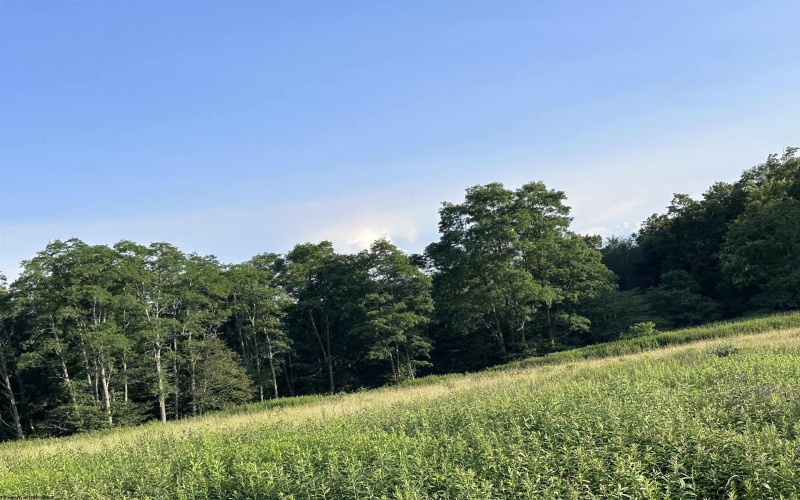 Lot 1003 Sunset Mountain Village, Slaty Fork, West Virginia 26291, ,Lots/land,For Sale,Sunset Mountain,10160431
