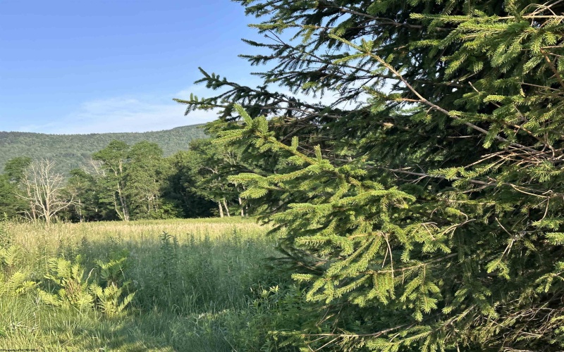 Lot 1003 Sunset Mountain Village, Slaty Fork, West Virginia 26291, ,Lots/land,For Sale,Sunset Mountain,10160431