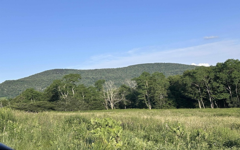 Lot 1003 Sunset Mountain Village, Slaty Fork, West Virginia 26291, ,Lots/land,For Sale,Sunset Mountain,10160431