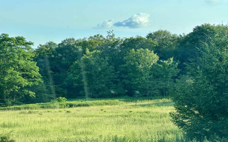 Lot 1003 Sunset Mountain Village, Slaty Fork, West Virginia 26291, ,Lots/land,For Sale,Sunset Mountain,10160431