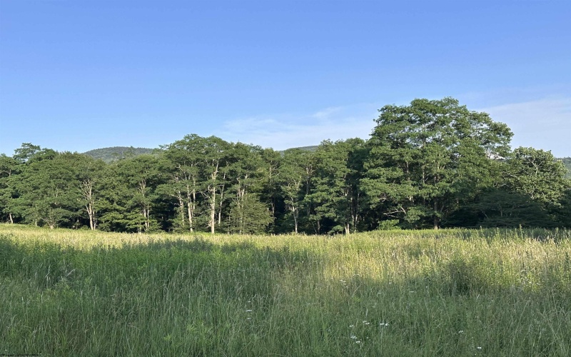 Lot 1003 Sunset Mountain Village, Slaty Fork, West Virginia 26291, ,Lots/land,For Sale,Sunset Mountain,10160431