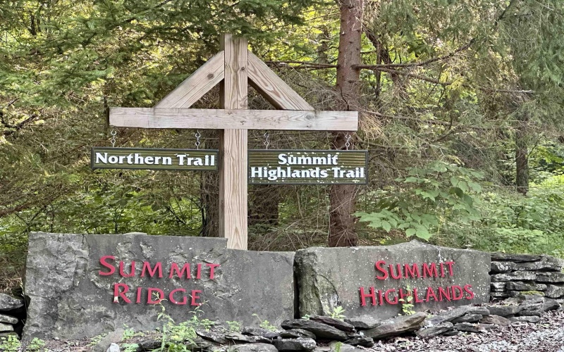 Lot 1003 Sunset Mountain Village, Slaty Fork, West Virginia 26291, ,Lots/land,For Sale,Sunset Mountain,10160431