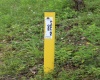 Lot 22 Bosworth Drive, Elkins, West Virginia 26241, ,Lots/land,For Sale,Bosworth,10160448