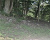522 Point Mountain Road, Valley Head, West Virginia 26294, 3 Bedrooms Bedrooms, 8 Rooms Rooms,1 BathroomBathrooms,Single Family Detached,For Sale,Point Mountain,10160444