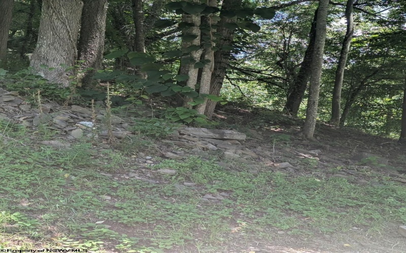522 Point Mountain Road, Valley Head, West Virginia 26294, 3 Bedrooms Bedrooms, 8 Rooms Rooms,1 BathroomBathrooms,Single Family Detached,For Sale,Point Mountain,10160444
