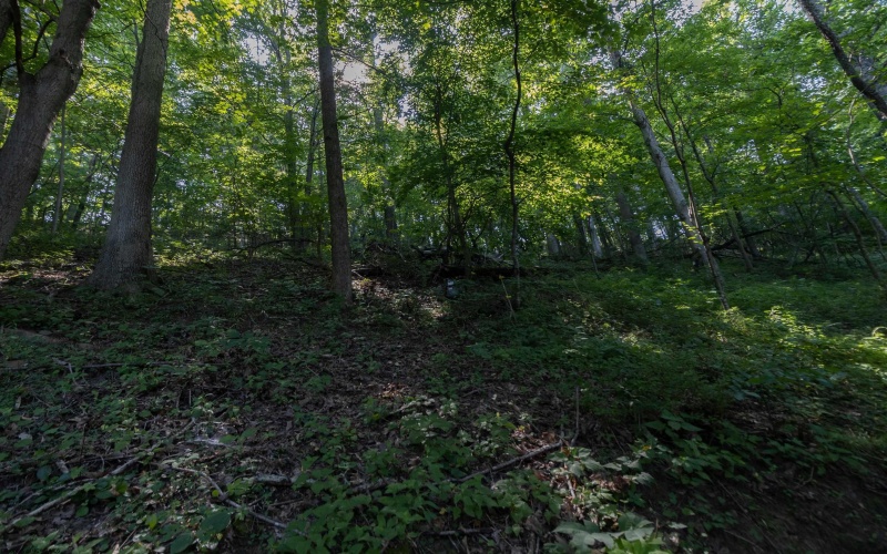1035 Oral Lake Road, Bridgeport, West Virginia 26330, 2 Bedrooms Bedrooms, 5 Rooms Rooms,1 BathroomBathrooms,Single Family Detached,For Sale,Oral Lake,10160451