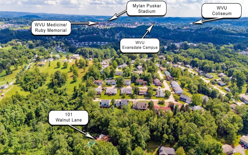 101 Walnut Lane, Morgantown, West Virginia 26505, 5 Bedrooms Bedrooms, 13 Rooms Rooms,5 BathroomsBathrooms,Single Family Detached,For Sale,Walnut,10160446