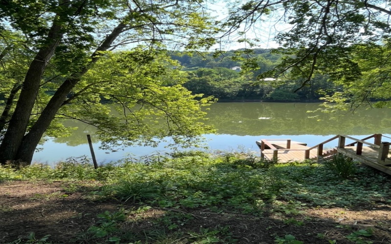 325 Maple Avenue, Grafton, West Virginia 26354, ,Lots/land,For Sale,Maple,10160459