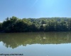 325 Maple Avenue, Grafton, West Virginia 26354, ,Lots/land,For Sale,Maple,10160459