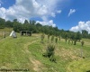3496 Sinclair Road, Moatsville, West Virginia 26405-8878, 3 Bedrooms Bedrooms, 5 Rooms Rooms,2 BathroomsBathrooms,Single Family Detached,For Sale,Sinclair,10160484