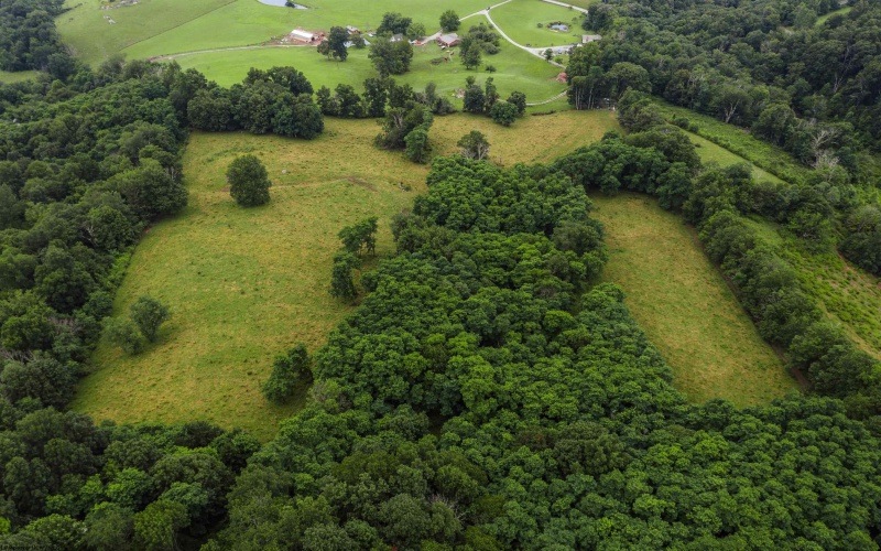 100 Miller Farm Lane, Dryfork, West Virginia 26263-0000, ,Lots/land,For Sale,Miller Farm,10160471