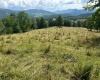 100 Miller Farm Lane, Dryfork, West Virginia 26263-0000, ,Lots/land,For Sale,Miller Farm,10160471
