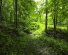 100 Miller Farm Lane, Dryfork, West Virginia 26263-0000, ,Lots/land,For Sale,Miller Farm,10160471