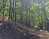 100 Miller Farm Lane, Dryfork, West Virginia 26263-0000, ,Lots/land,For Sale,Miller Farm,10160471