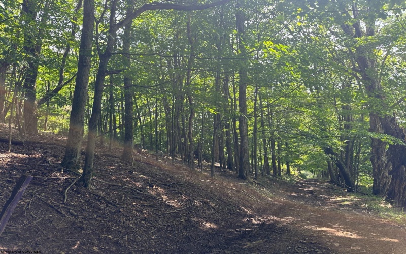 100 Miller Farm Lane, Dryfork, West Virginia 26263-0000, ,Lots/land,For Sale,Miller Farm,10160471