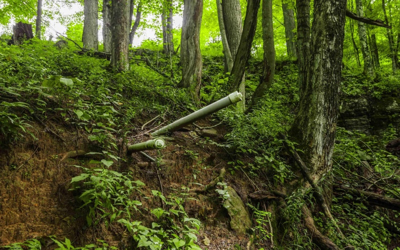 100 Miller Farm Lane, Dryfork, West Virginia 26263-0000, ,Lots/land,For Sale,Miller Farm,10160471