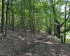100 Miller Farm Lane, Dryfork, West Virginia 26263-0000, ,Lots/land,For Sale,Miller Farm,10160471