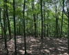 100 Miller Farm Lane, Dryfork, West Virginia 26263-0000, ,Lots/land,For Sale,Miller Farm,10160471