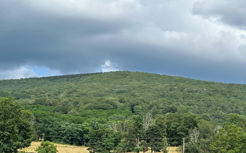 100 Miller Farm Lane, Dryfork, West Virginia 26263-0000, ,Lots/land,For Sale,Miller Farm,10160471