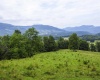 100 Miller Farm Lane, Dryfork, West Virginia 26263-0000, ,Lots/land,For Sale,Miller Farm,10160471