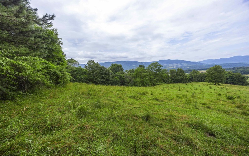 100 Miller Farm Lane, Dryfork, West Virginia 26263-0000, ,Lots/land,For Sale,Miller Farm,10160471