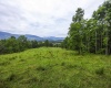 100 Miller Farm Lane, Dryfork, West Virginia 26263-0000, ,Lots/land,For Sale,Miller Farm,10160471