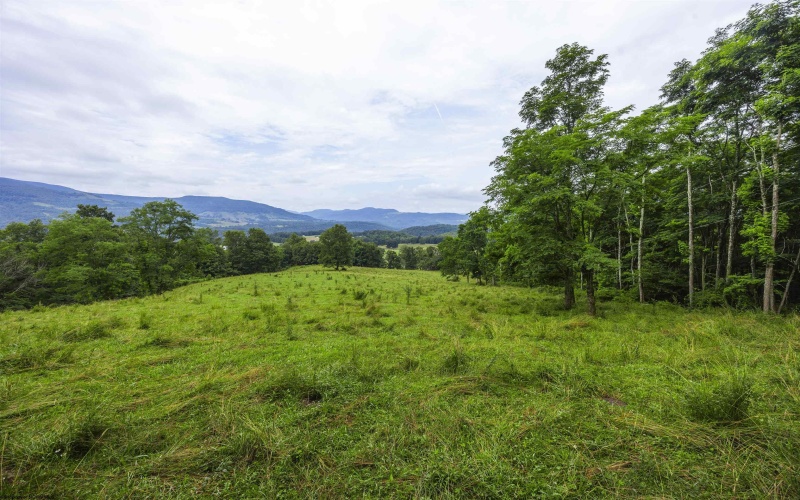 100 Miller Farm Lane, Dryfork, West Virginia 26263-0000, ,Lots/land,For Sale,Miller Farm,10160471