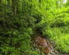 100 Miller Farm Lane, Dryfork, West Virginia 26263-0000, ,Lots/land,For Sale,Miller Farm,10160471