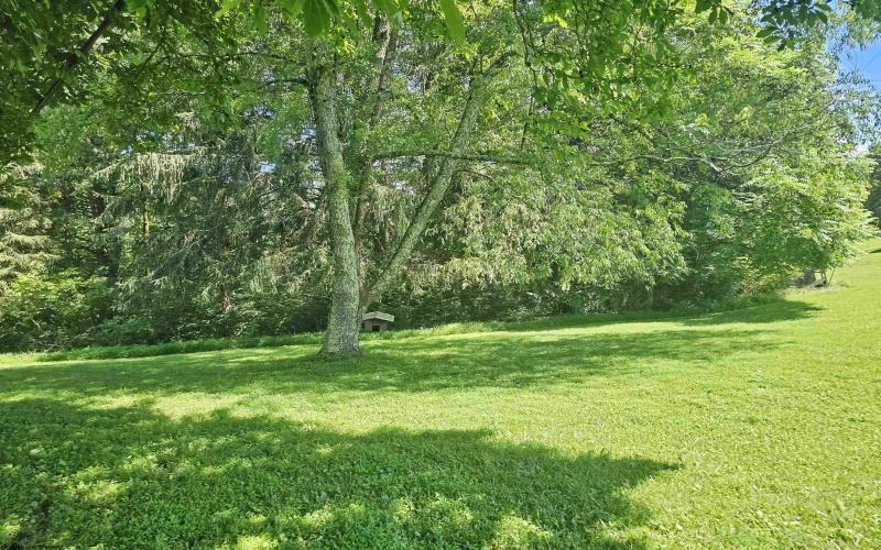 195 Robey Hollow Road, Lumberport, West Virginia 26386, 2 Bedrooms Bedrooms, 6 Rooms Rooms,1 BathroomBathrooms,Single Family Detached,For Sale,Robey Hollow,10160480