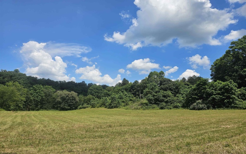 195 Robey Hollow Road, Lumberport, West Virginia 26386, 2 Bedrooms Bedrooms, 6 Rooms Rooms,1 BathroomBathrooms,Single Family Detached,For Sale,Robey Hollow,10160480