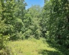 195 Robey Hollow Road, Lumberport, West Virginia 26386, 2 Bedrooms Bedrooms, 6 Rooms Rooms,1 BathroomBathrooms,Single Family Detached,For Sale,Robey Hollow,10160480
