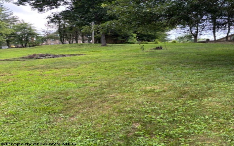 1382 Locust Avenue, Fairmont, West Virginia 26554, 3 Bedrooms Bedrooms, 5 Rooms Rooms,1 BathroomBathrooms,Single Family Detached,For Sale,Locust,10160473