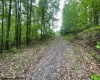 00 Gee Lick Road, Weston, West Virginia 26452, ,Lots/land,For Sale,Gee Lick,10160493
