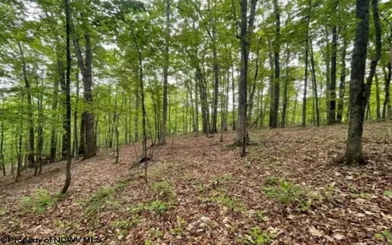 00 Gee Lick Road, Weston, West Virginia 26452, ,Lots/land,For Sale,Gee Lick,10160493
