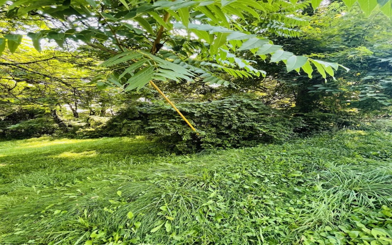 TBD Charleston Avenue, Morgantown, West Virginia 26508, ,Lots/land,For Sale,Charleston,10160496