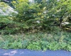 TBD Charleston Avenue, Morgantown, West Virginia 26508, ,Lots/land,For Sale,Charleston,10160496