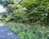 TBD Charleston Avenue, Morgantown, West Virginia 26508, ,Lots/land,For Sale,Charleston,10160496