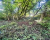 TBD Charleston Avenue, Morgantown, West Virginia 26508, ,Lots/land,For Sale,Charleston,10160496