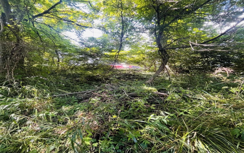 TBD Charleston Avenue, Morgantown, West Virginia 26508, ,Lots/land,For Sale,Charleston,10160496