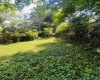 TBD Charleston Avenue, Morgantown, West Virginia 26508, ,Lots/land,For Sale,Charleston,10160496
