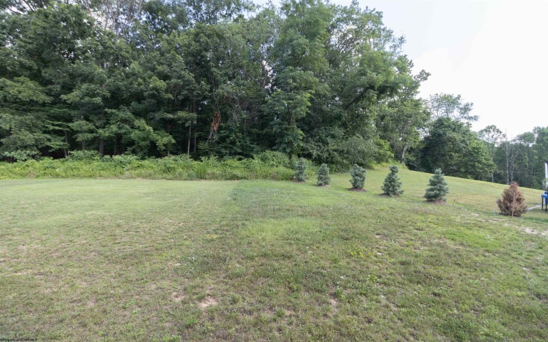 131 Frisco Lane, Bridgeport, West Virginia 26330, 4 Bedrooms Bedrooms, 7 Rooms Rooms,2 BathroomsBathrooms,Single Family Attached,For Sale,Frisco,10160514
