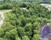 Lot 1 The Vale Road, Bridgeport, West Virginia 26330, ,Lots/land,For Sale,The Vale,10160500
