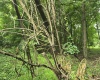 TBD Long Hollow, Masontown, West Virginia 26542, ,Lots/land,For Sale,Long,10160517