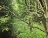 TBD Long Hollow, Masontown, West Virginia 26542, ,Lots/land,For Sale,Long,10160517