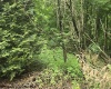 TBD Long Hollow, Masontown, West Virginia 26542, ,Lots/land,For Sale,Long,10160517
